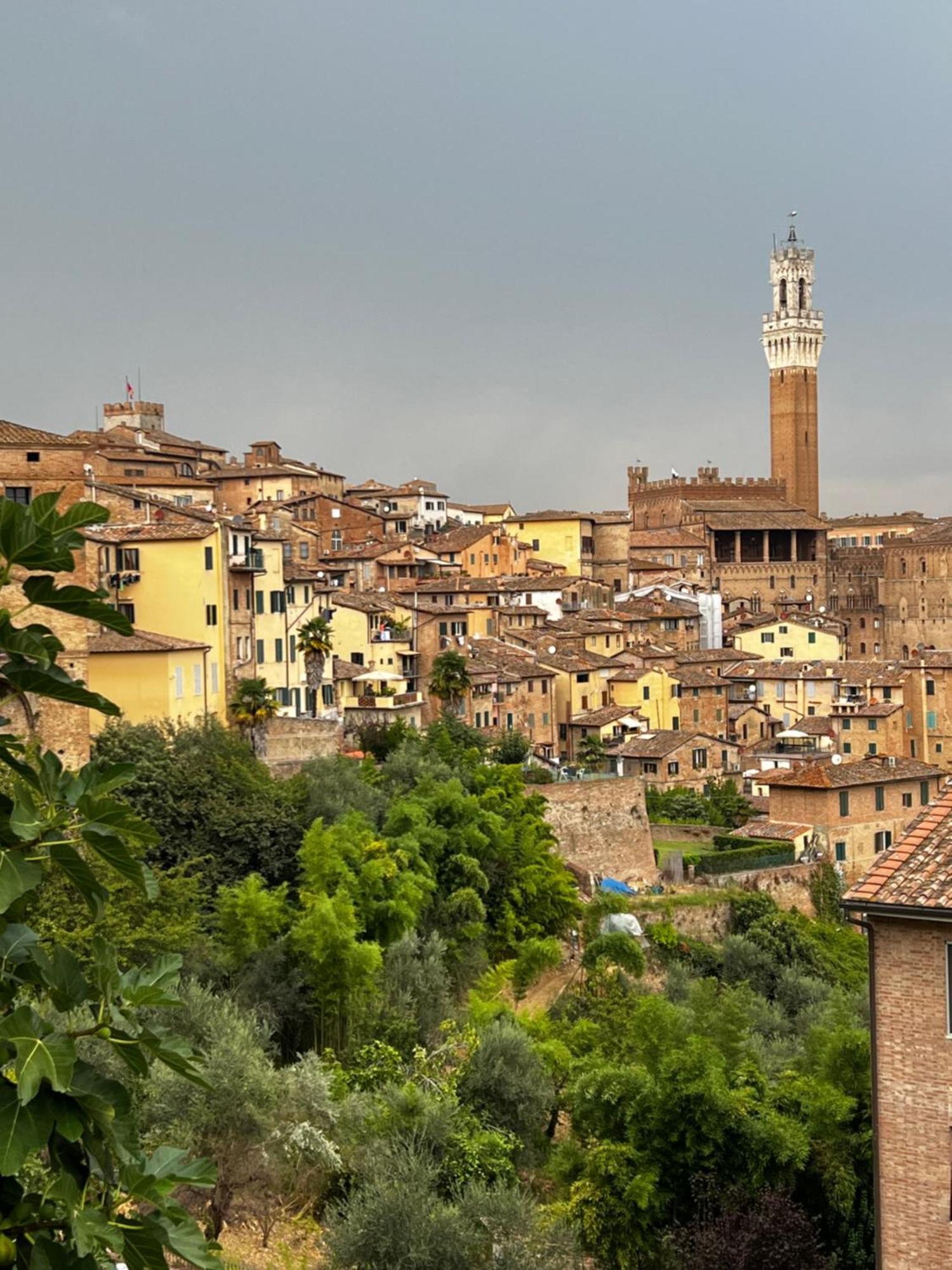 Podere La Casa Villa d'Arceno Eksteriør bilde